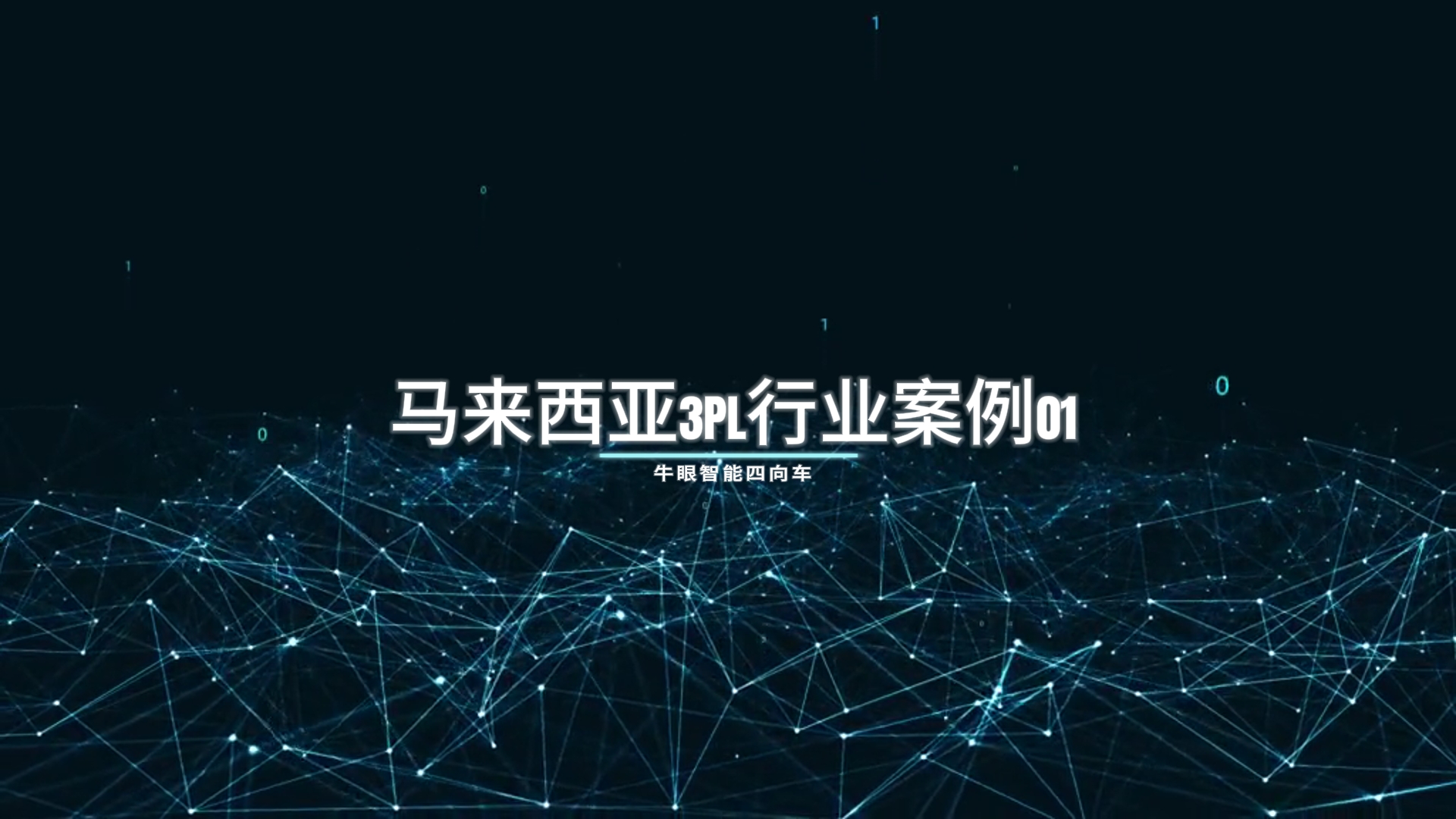 交付时间2023年3月 马来西亚3PL行业案例01