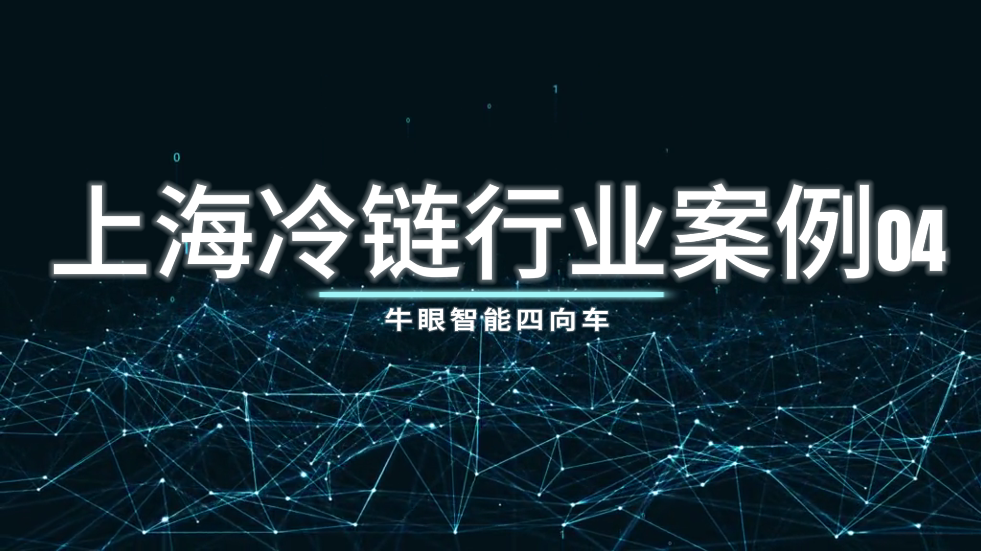 牛眼智能四向车案例 - 上海冷链项目04