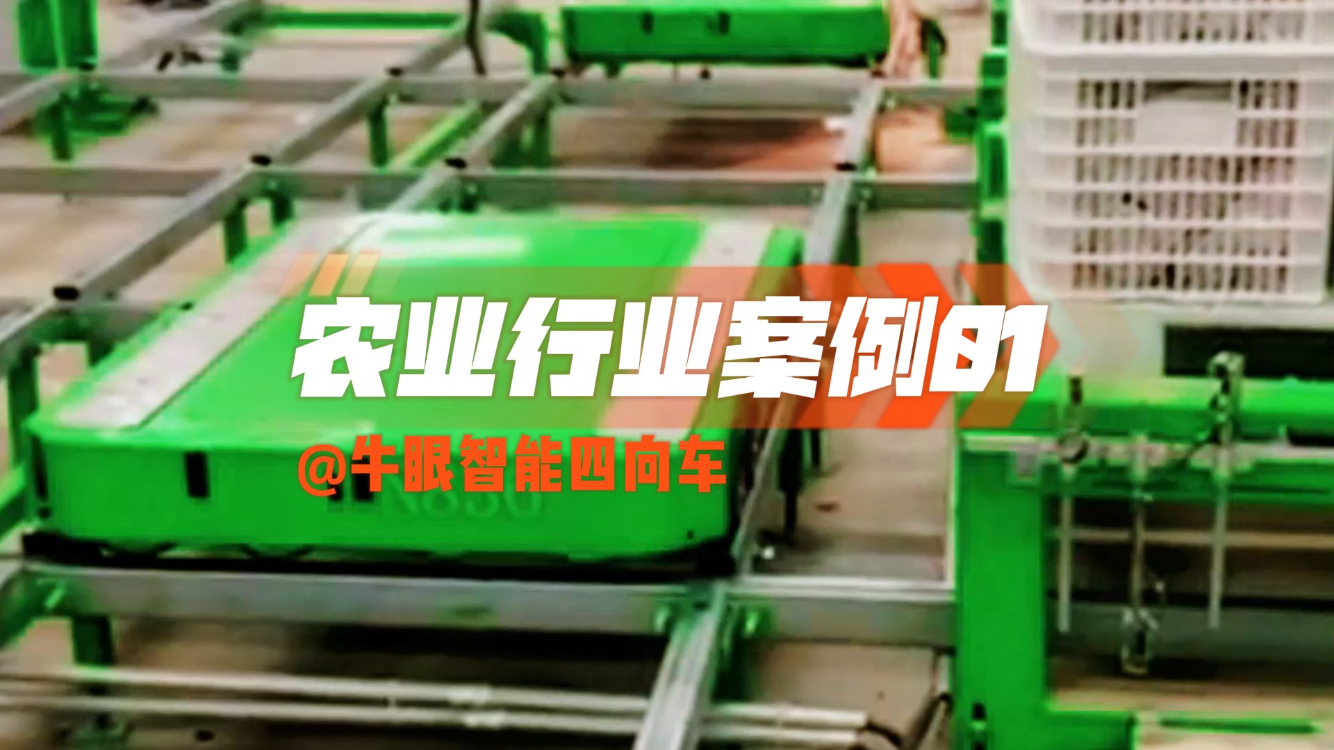牛眼智能四向车 - 新疆农业案例01