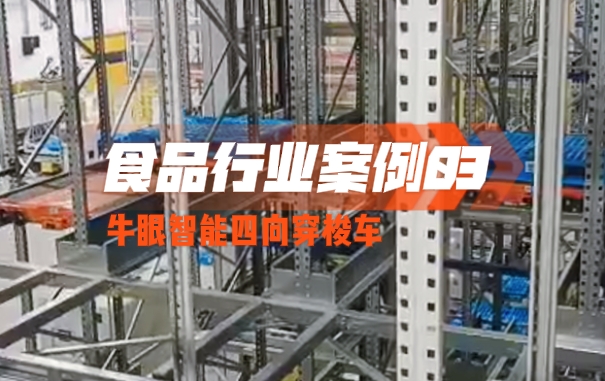 牛眼智能四向穿梭车案例 - 食品行业03