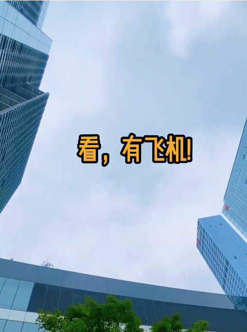 四向车立库认准牛眼智能